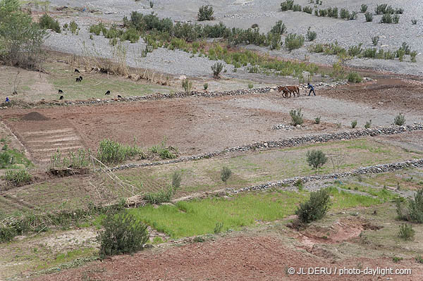 Maroc
Vallée de l'Ourika